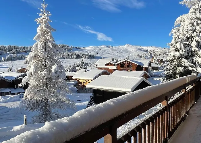Appartement Plein Sud Aux Saisies N°6
